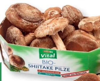 Bio-shiitake pilze