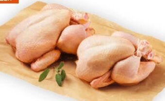 Billa Hühner bratfertig Angebot