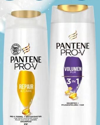 Spar Shampoo Angebot