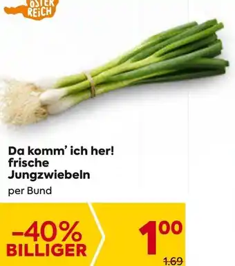Billa Da Komm'ich her! frische Jungzwieben Angebot