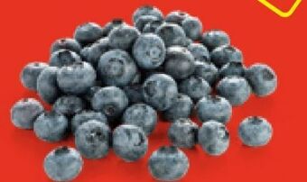Hofer Heidelbeeren Angebot