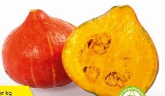 Hofer Bio-kürbis Angebot