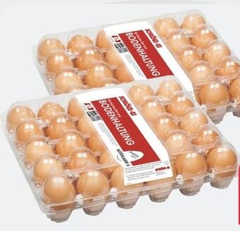 ETSAN Eier Angebot