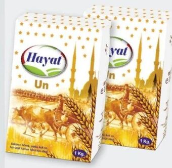 ETSAN Weizenmehl Angebot