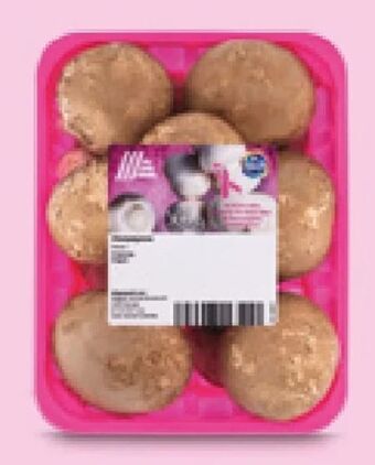 Hofer Champignons Angebot