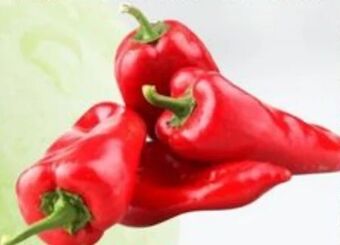 ETSAN Paprika Angebot