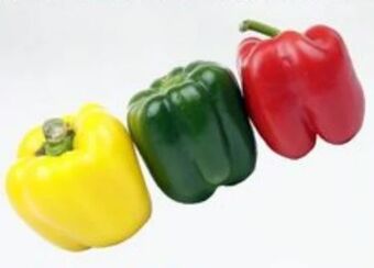 ETSAN Paprika mix Angebot