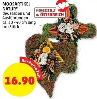 PENNY Moosartikel Natur 30-40 cm Angebot