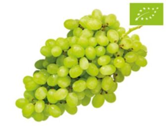 Lidl Bio trauben hell kernlos Angebot