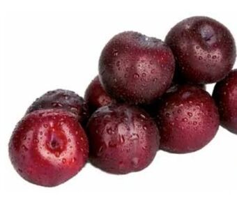 Transgourmet Pflaumen Angebot