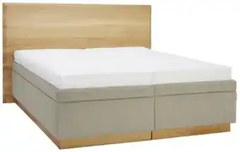 XXXLutz Polsterbett noblesse chalet Angebot