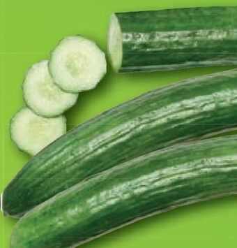 Lidl Bio gurken Angebot