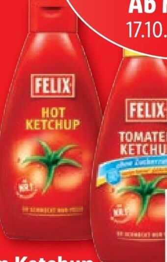 Lidl Tomaten ketchup Angebot