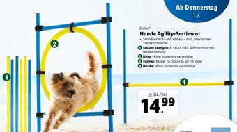 Lidl Hunde Agility-Sortiment Angebot