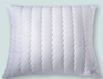 Möbel Ludwig Kissen Angebot