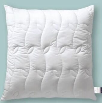 Möbel Ludwig Kopfkissen Angebot