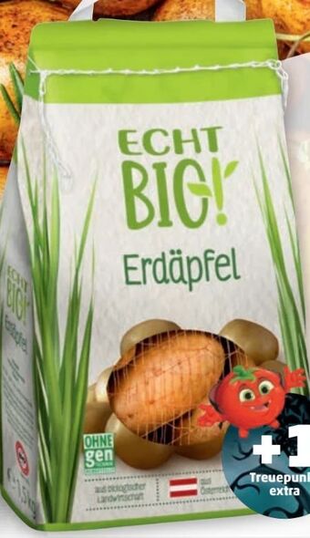 PENNY Erdäpfel Angebot