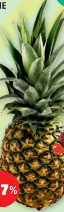 PENNY Ananas Angebot