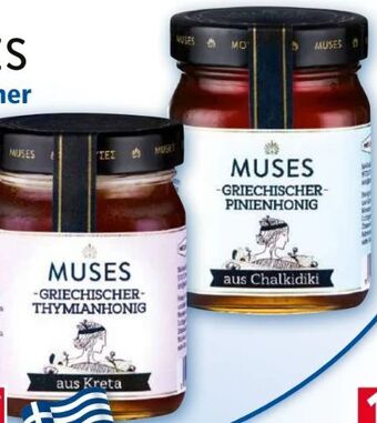 Norma Griechischer honig Angebot