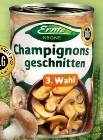 Norma Champignons Angebot