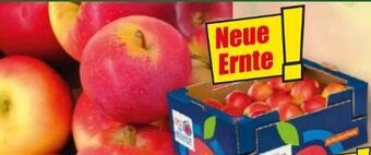 Norma Äpfel Angebot
