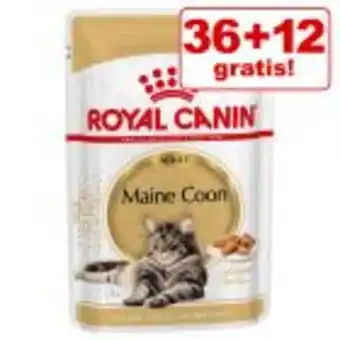 Zooplus 36 + 12 gratis! 48 x 85 g royal canin katzenfutter Angebot