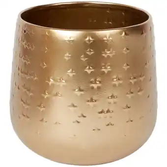 Action Goldener blumentopf Angebot