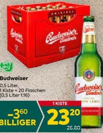 Billa Budweiser 0,5 Liter Angebot
