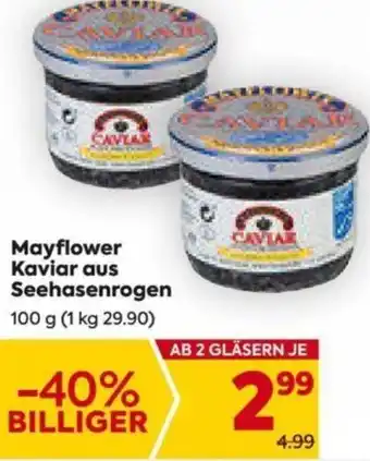 Billa Mayflower Kaviar aus Seehaserogen 100 g Angebot