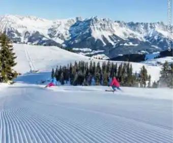 Hofer Reisen Tirol/wilder kaiser söll Angebot