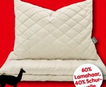 Interspar Polster lama Angebot