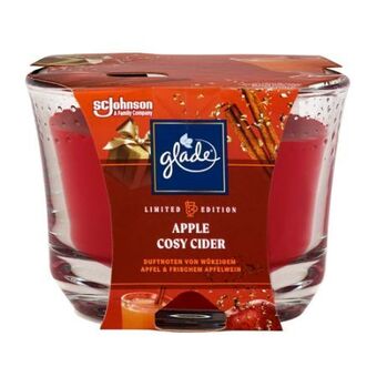 dm Duftkerze Angebot