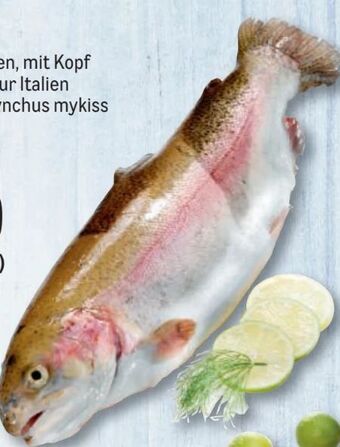 Metro Lachsforelle Angebot