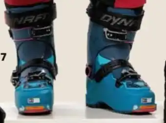 Gigasport Tourenskischuh Radical Pro W. Angebot