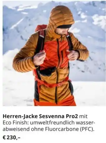 Gigasport Herren-Jacke Sesvenna Pro2 Angebot