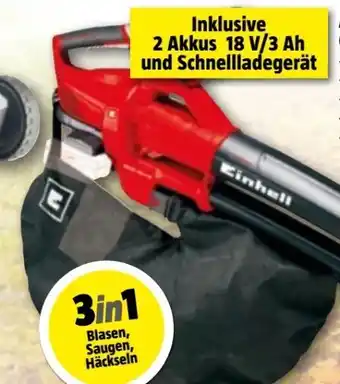 Bauhaus Akku-laubsauger ge-cl 36 li e solo Angebot