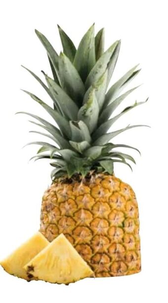 Transgourmet Ananas Angebot