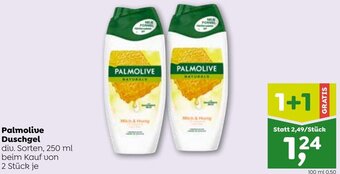 ADEG Palmolive Duschgel 250 ml Angebot