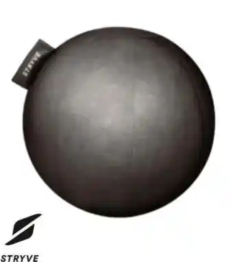 Gigasport Active ball Angebot