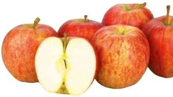 Transgourmet Äpfel gala Angebot