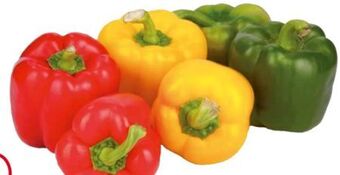 Transgourmet Paprika mix Angebot