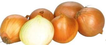 Transgourmet Zwiebel ama Angebot