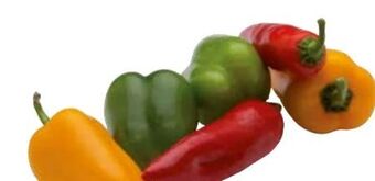 Transgourmet Paprika mix Angebot