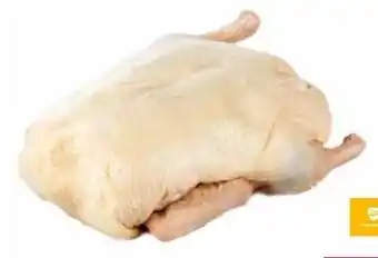 Transgourmet Ente Angebot