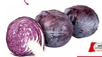 Transgourmet Rotkraut Angebot