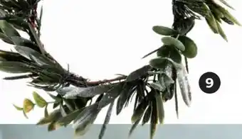 Kranz olive