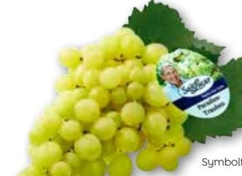 ADEG Trauben Angebot
