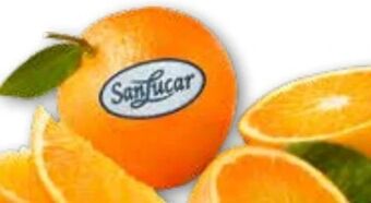 ADEG Orangen Angebot