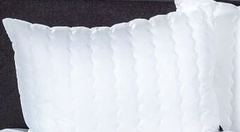 Möbel Ludwig Kissen Angebot