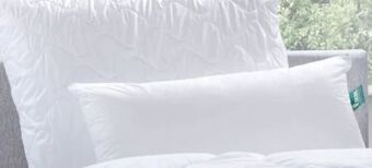 Möbel Ludwig Kissen Angebot